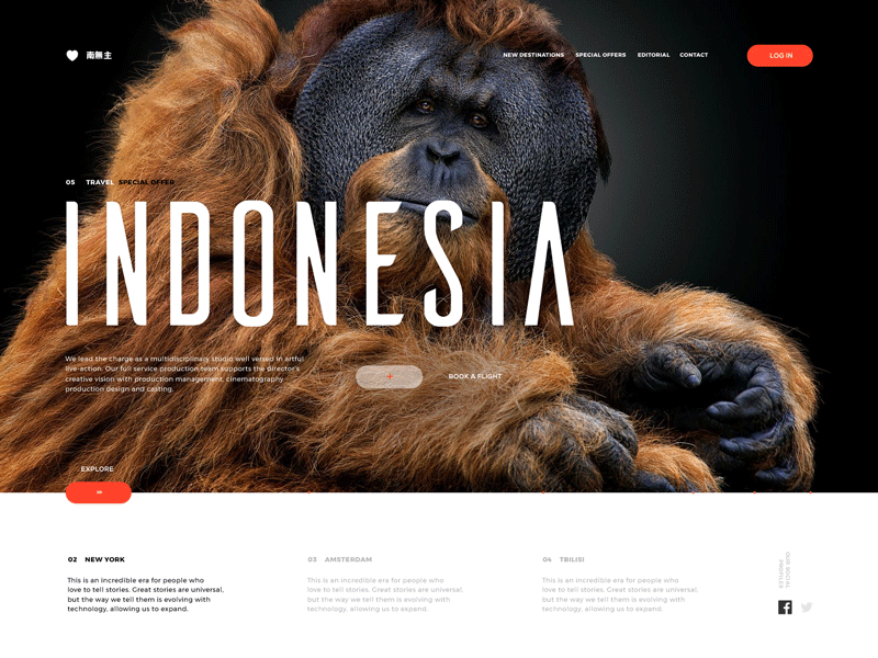 Branding & Identity Design